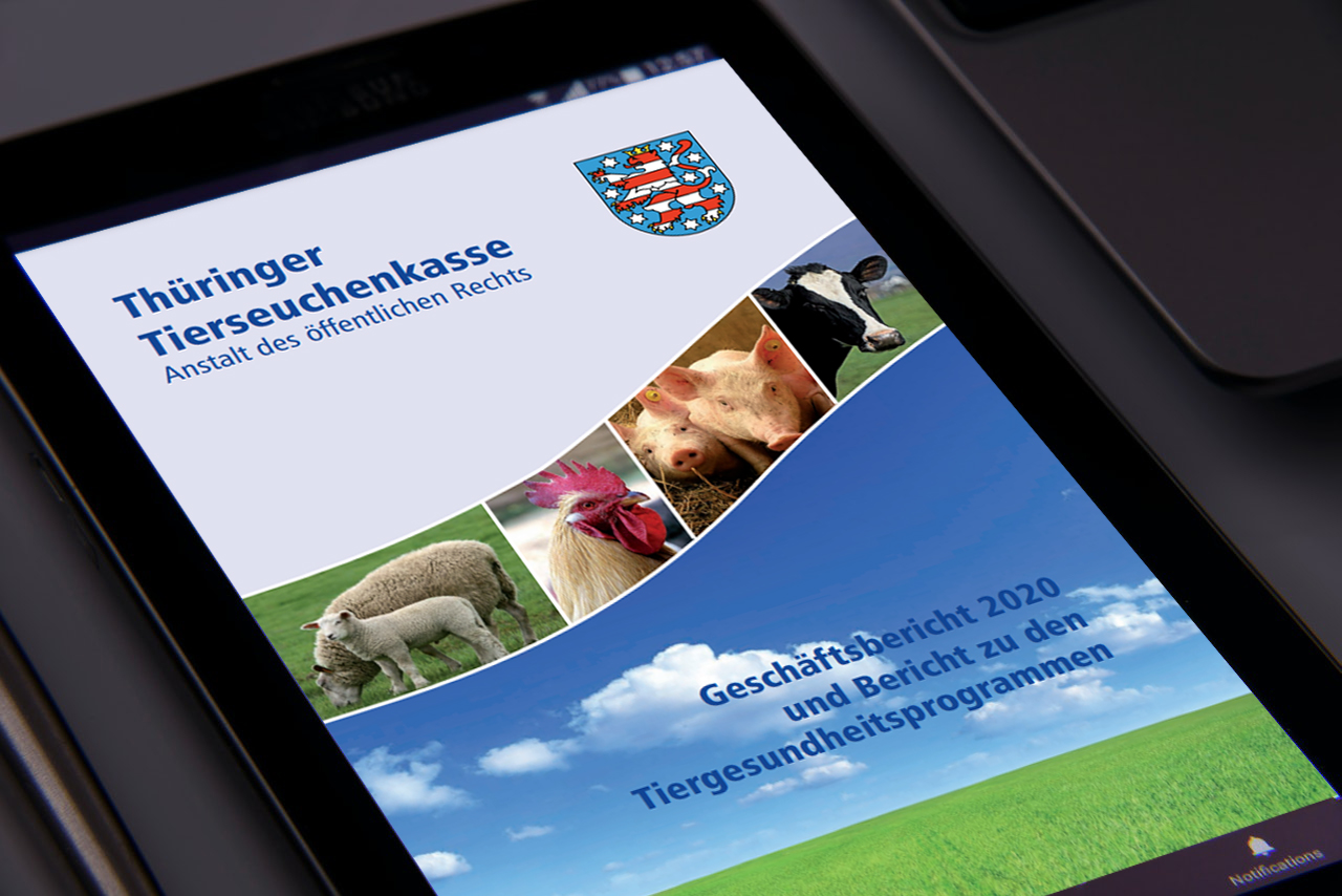 Aktuelles vom Rindergesundheitsdienst