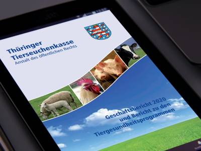 Aktuelles vom Geflügelgesundheitsdienst